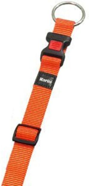 Picture of Flamingo Köpek Boyun Tasması Turuncu 30-45 cm
