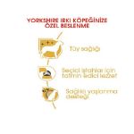 Picture of Royal Canin Yorkshire Terrier Köpek Maması 1.5Kg