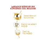 Picture of Royal Canin Labrador Yetişkin Köpek Maması 12Kg