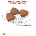 Picture of Royal Canin Mini İndoor Adult Köpek Maması 1,5 kg