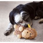 Picture of Kong Köpek Peluş Hışırtılı Oyuncak Koyun L 21cm