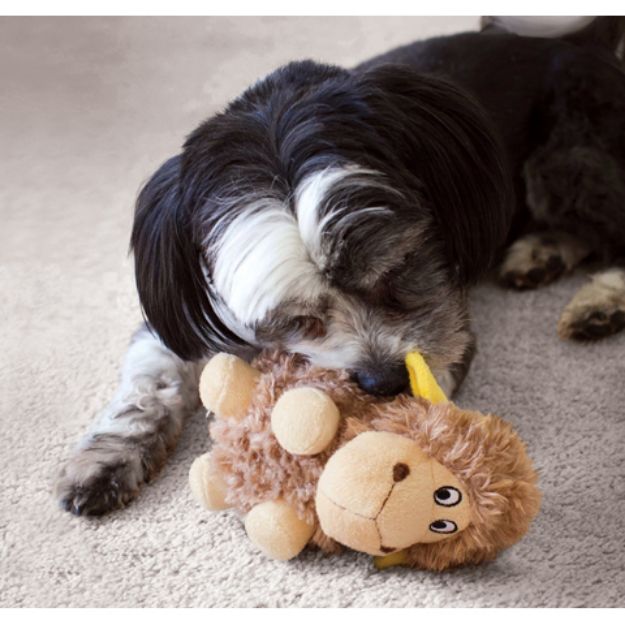 Picture of Kong Köpek Peluş Hışırtılı Oyuncak Koyun L 21cm