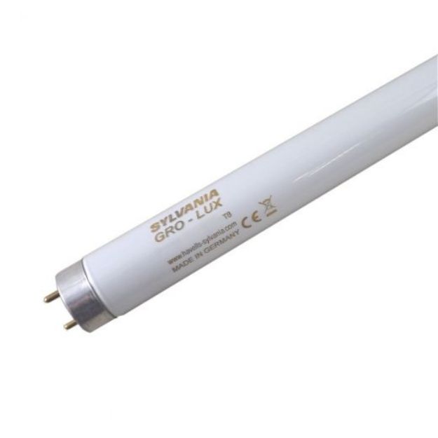 Picture of Sylvania Aquastar Akvaryum Floresan 15 W 002221