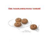 Picture of Royal Canin Mini Sterilised Küçük Irk Kısırlaştırılmış Köpek Maması 3 Kg
