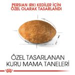 Picture of Royal Canin Persian Kedi Maması 10Kg