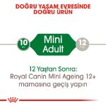 Picture of Royal Canin Mini Adult Küçük Irk Pouch Konserve 85 gr