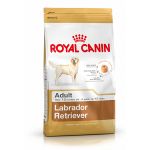 Picture of Royal Canin Labrador Yetişkin Köpek Maması 12Kg