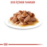 Picture of Royal Canin Intense Beauty Kedi Konservesi 85Gr