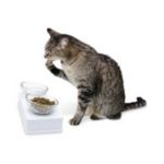Picture of Hagen Catit Cam Kaseli Kedi Köpek Mama ve Su Kabı 200 ml x 2 Beyaz