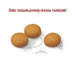 Picture of Royal Canin Medium Dermacomfort Orta Irk Hassas Yetişkin Köpek Maması 12Kg