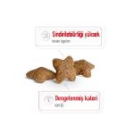 Picture of Royal Canin Mini Adult Yetişkin Köpek Maması 8Kg