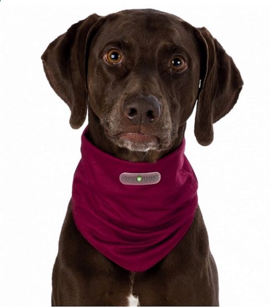 Picture of Trixie Haşere Kovucu Köpek Bandanası Medıum