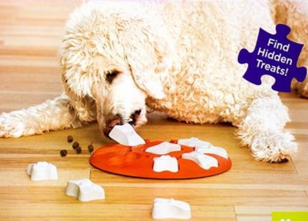 Picture of Outward Hound Smart Interactive Treat Puzzle Köpek Oyuncağı, Turuncu-67331M