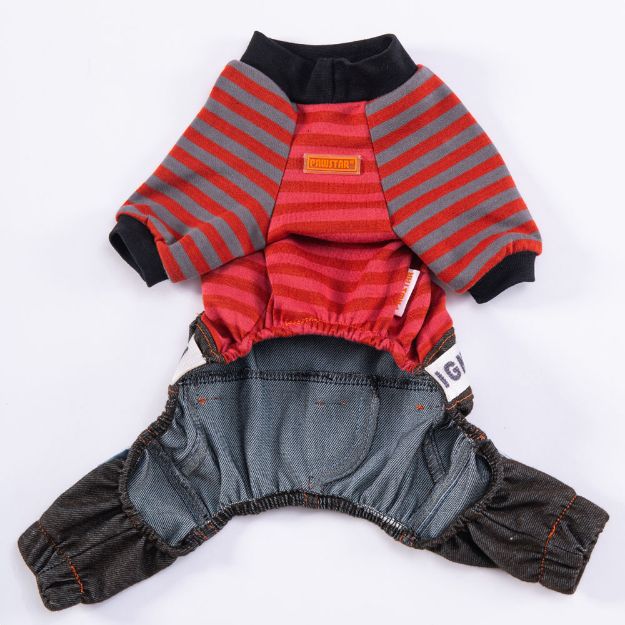 Picture of Pawstar  Terracotta Foodie Rompers 