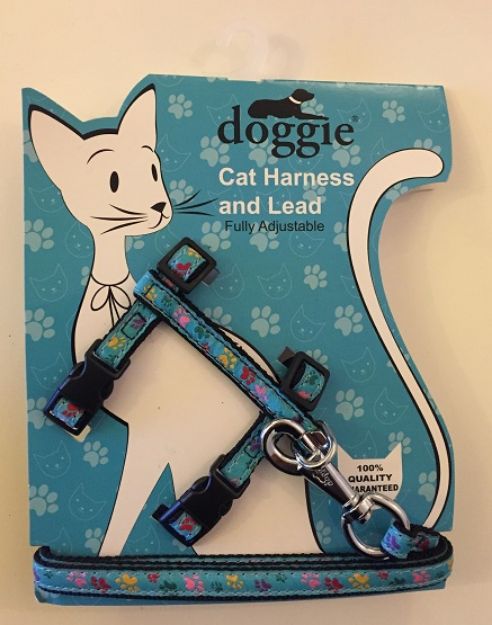 Picture of Doggie Etiketli Dokuma Kedi Göğüs Gezdirme Takımı No:1 Siyah