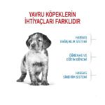 Picture of Royal Canin Medium Junior Orta Irk Yavru Köpek Maması 15 Kg