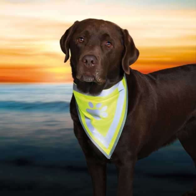 Picture of Trixie Köpek Bandana Large - XLarge 42 cm - 60 cm