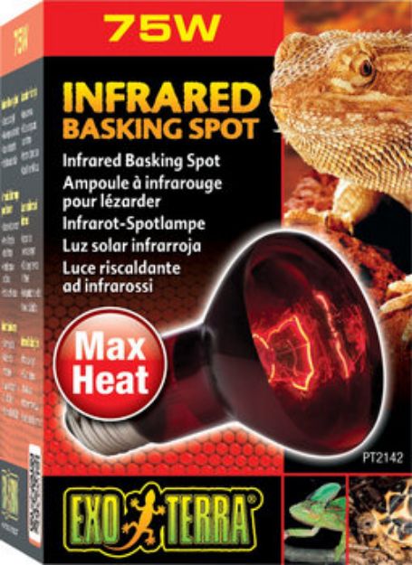 Picture of Exo Terra Glo Infrared Sürüngen Lambası 75 watt