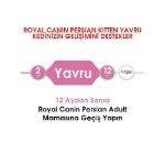 Picture of Royal Canin Kitten Persian Kedi Maması 2Kg