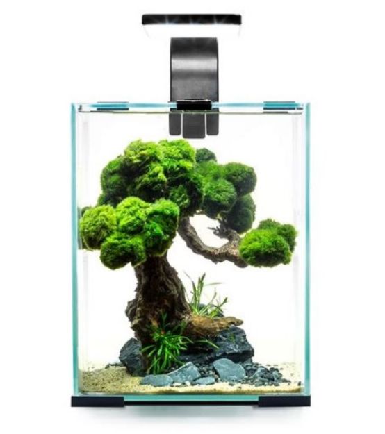 Picture of Aquael Shrımp Set Smart D&N 10 Whıte 