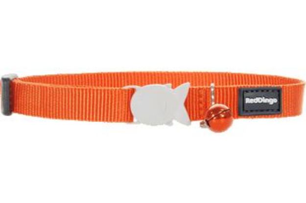 Picture of Red Dıngo Klasık Turuncu Kedı Boyun Tasması 12Mm