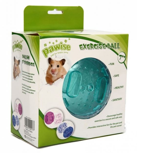 Picture of Pawise Hamster Egzersiz Oyun Topu 17,5 cm