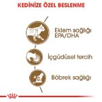 Picture of Royal Canin Ageing+12 Kedi Konservesi 85Gr