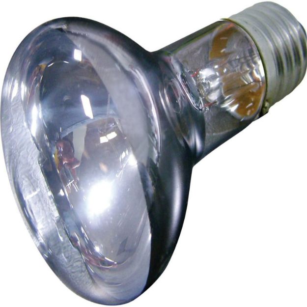 Picture of Filamingo Daylight Lamba 100 W