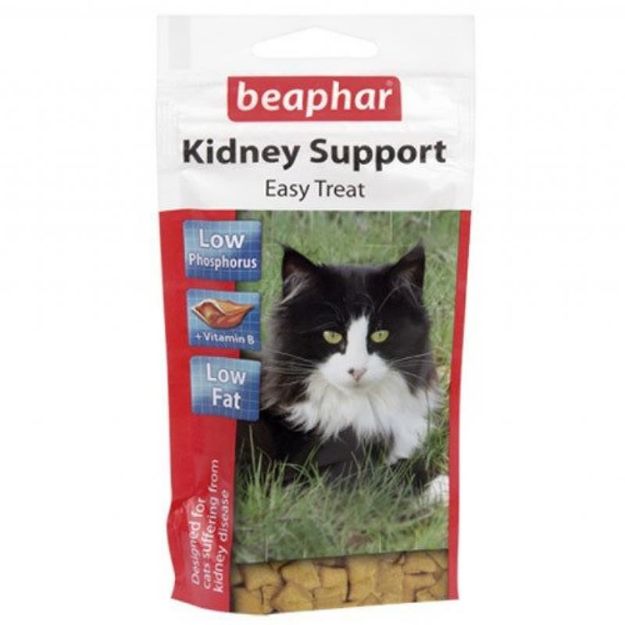 Picture of Kidney Bits Kedi Ödülü