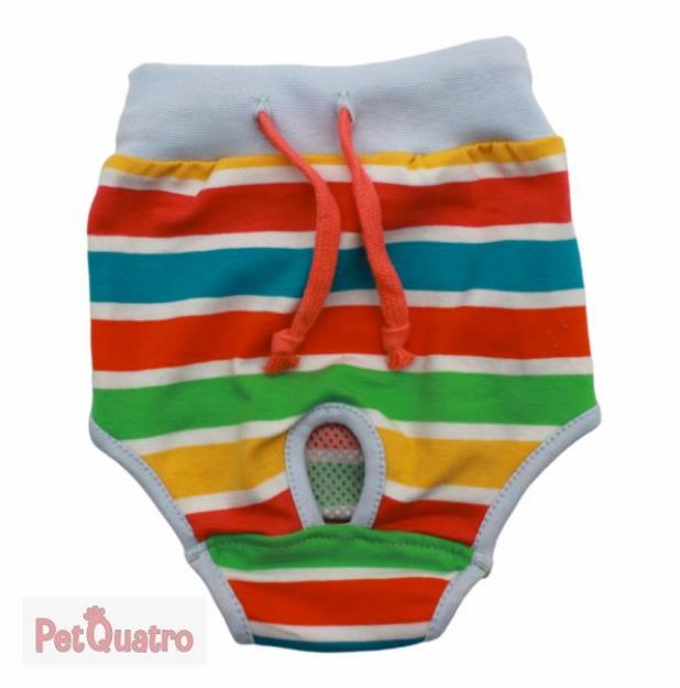 Picture of Pawstar Striped Underwear No 3 23062-3