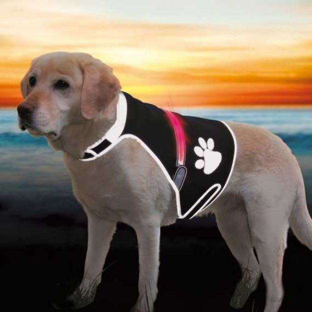 Picture of Trixie Köpek Işıklı Fosforlu Güvenlik Yeleği M Siyah
