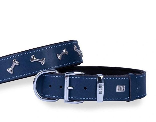 Picture of Konfor Deri Kemik Süslü Boyun Tasması Royalmavi 4x47-55cm Sbt4062sroyalblue