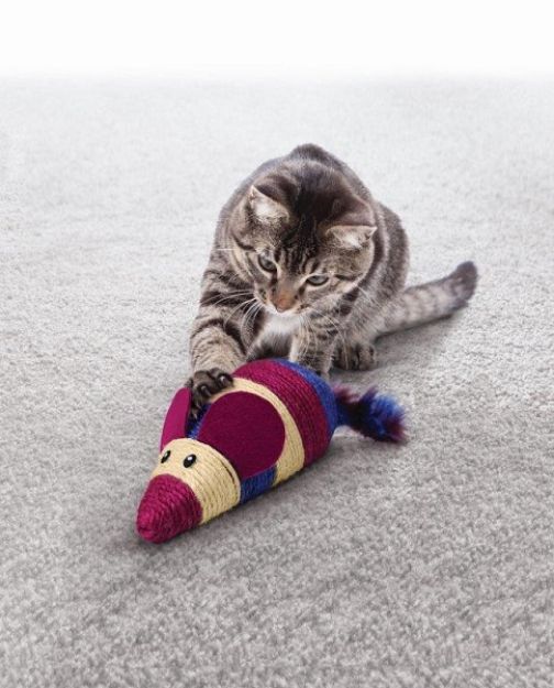 Picture of Kong Kedi Oyuncak, Wrangler Fare, Kediotlu