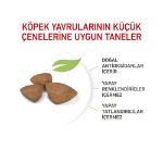Picture of Royal Canin X-Small Küçük Irk Yavru Köpek Maması 1.5Kg