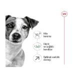 Picture of Royal Canin Mini Mature +8 Küçük Irk Yaşlı Köpek Maması 2Kg