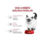Picture of Royal Canin Kitten Yavru Kedi Maması 2Kg