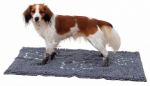 Picture of Trixie Köpek Paspası Süper Emici 100 X 70 Cm Gri