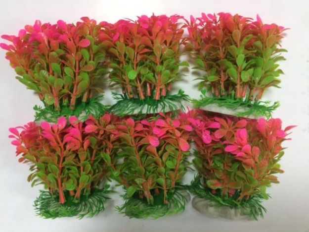 Picture of Akvaryumlar İçin Plastik Bitki Dekor Kırmızı Yeşil 12 Cm