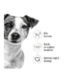 Picture of Royal Canin Mini Adult Yetişkin Köpek Maması 4Kg
