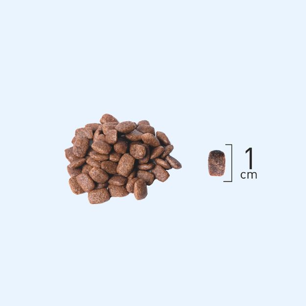 Picture of Natura LowGrain Adult Cat Food with Chicken & Pomegranate 8+2 Kg