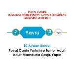 Picture of Royal Canin Yorkshire Terrier Yavru Köpek Maması 1.5Kg