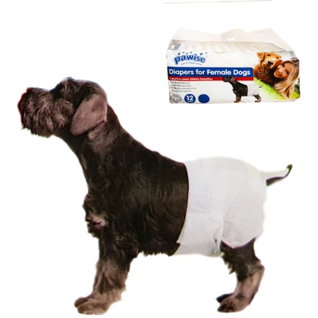 Picture of Pawise Köpek Alt Bağlama Bezi M Boy 12 Adet
