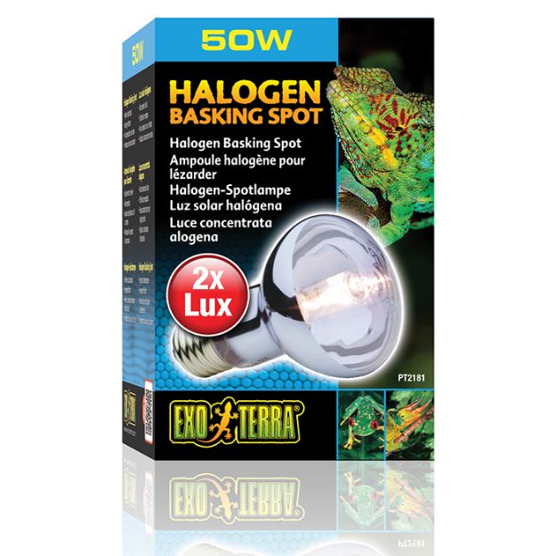 Picture of Exo Terra Spot Sürüngen İçin Lamba 50 watt