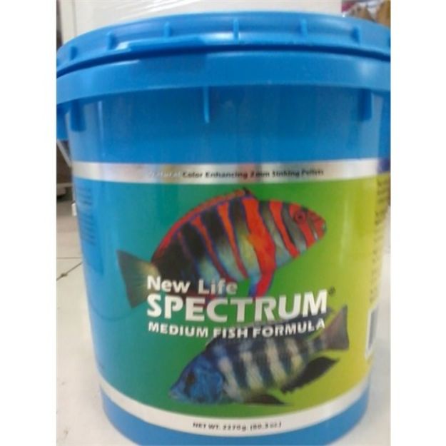 Picture of New Life Spectrum Medium Fish Formula Orta Boy Akvaryum Balık Yemi 2000 gr