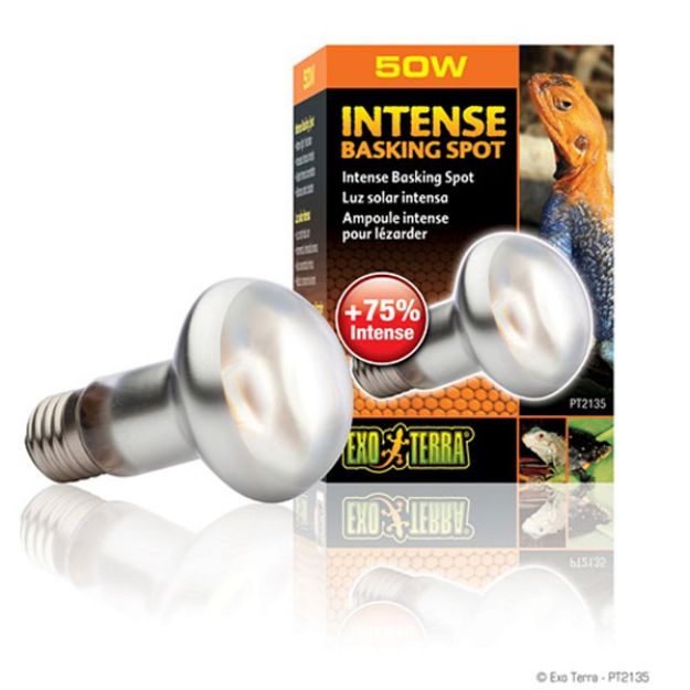 Picture of Exo Terra Spot Sürüngen İçin Lamba 50 watt 63 Mm 