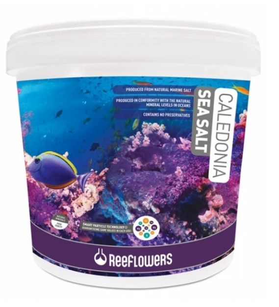 Picture of Reef Flowers Caledonia Sea Salt Okyanus Tuzu 22 Kg