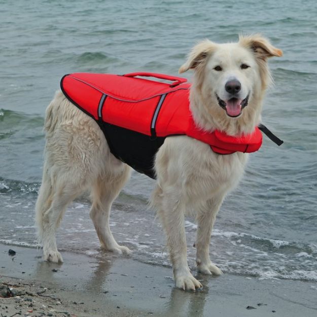 Picture of Trixie Köpek Can Yeleği 54 cm Large