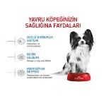 Picture of Royal Canin X-Small Küçük Irk Yavru Köpek Maması 1.5Kg