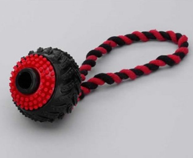 Picture of Europet Köpek Oyuncak Plastik İpli Top