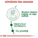 Picture of Royal Canin Mini İndoor Adult Köpek Maması 1,5 kg